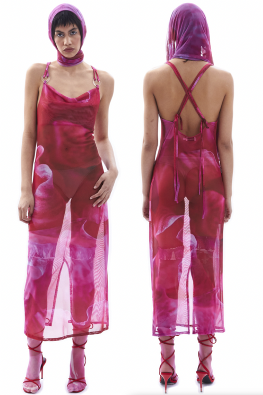 Madness - Amor De Verano Dress: Rose Print