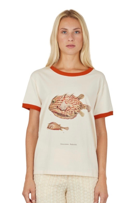 Benjamin Benmoyal - Printed Tee Shirt: Ecru Fish