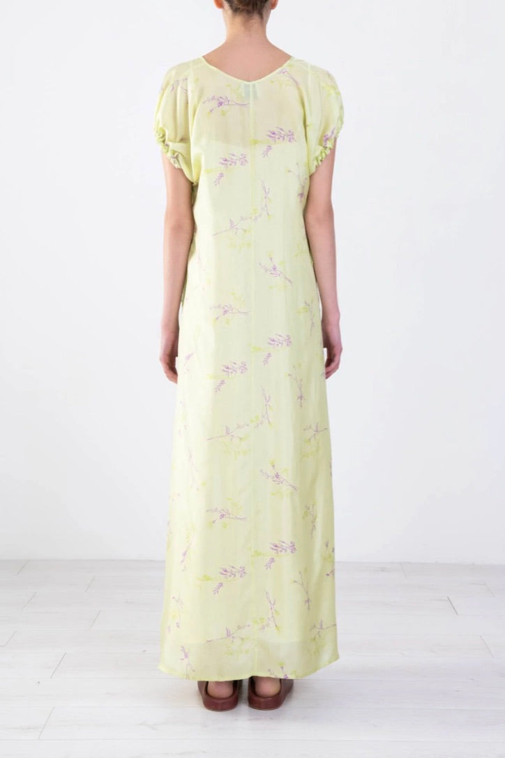 Alysi Creme - Maxi Bouquet Dress: Pistachio